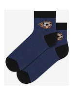 Tenké barevné ponožky 6-11 let chlapec. 234.N59