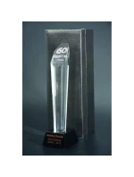 Gravírovaná skleněná trofej s pouzdrem + malířská výplň