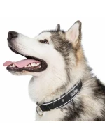 Trespass obojek pro psy