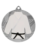 Stříbrná medaile v judu/karate
