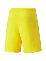 Pánské šortky teamRISE Cyber M 704942 07 - Puma