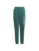 Adidas BLUV Q3 Pant Jr IA1553 Adidas BLUV Q3 Pant Jr IA1553