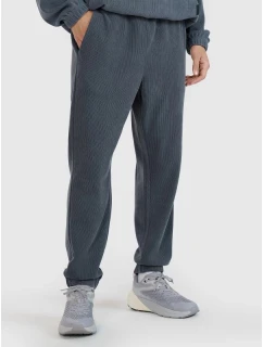 Pánské tepláky typu jogger 4F 4FRSS25TTROM1476-22S