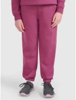 Dívčí tepláky 4F