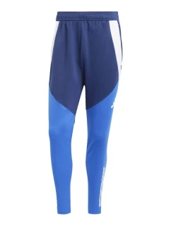 Kalhoty adidas Tiro 24 Competition Winterized M IY0124