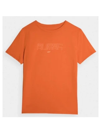 Tričko 4F M 4FAW23TTSHM0865-70S pánské