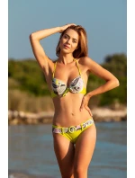 Dvoudílné plavky model 179804 Ewlon Dvoudílné plavky model 179804 Ewlon