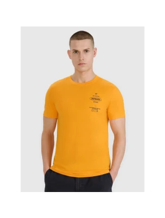 Pánské tričko s potiskem 4F 4FRSS25TTSHM2688-70S