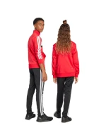 Dětská tepláková souprava adidas Seasonal Essentials Tiberio 3-Stripes Tricot červená/černá JI6214