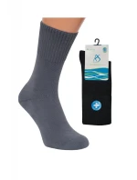 Pánské ponožky Regina Socks Purista Antybakteriální Froté Pánské ponožky Regina Socks Purista Antybakteriální Froté