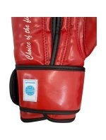 Boxerské rukavice MASTERS RPU-FT (schváleno WAKO)