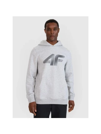 Pánská mikina s kapucí 4F 4FWMM00TSWSM1766-27M s pánskými motivy