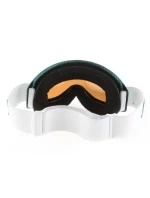 DRAGON W DXS HOGWLDTEAL/ION+ROSRL/ 722-2874