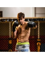 Boxerské rukavice 8oz - Black Dragon - Valor Series