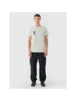 Pánské tričko s potiskem 4F 4FRAW24TTSHM2603-47S