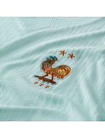 Nike France Match pánské tričko 2026/27 mint IB5200 394 pánské