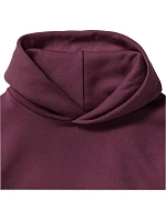 Russell Athletic 575B Dětská mikina s kapucí 10.575B burgundy Russell Athletic 575B Dětská mikina s kapucí 10.575B burgundy