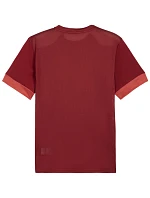Pánský dres Puma teamGoal Matchday Jersey bordó 705747 09 pánské