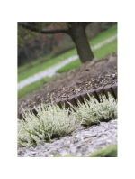 GARDEN PALISADA GARDEN RIM 250CM IPBO bronzové dětské