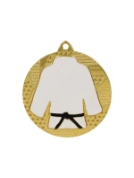 Zlatá medaile v judu/karate