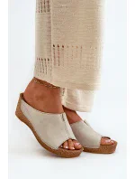 Pantofle  model 198463 Step in style