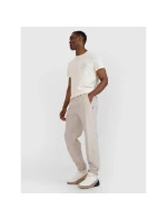 Pánské volnočasové kalhoty 4F 4FWSS25TTROM1001-83S