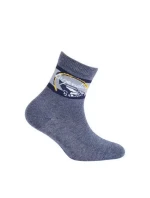 Chlapecké vzorované ponožky Wola U24.P01;W24.P01 21-26