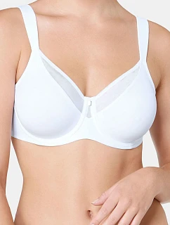 Soft model 229984 Triumph