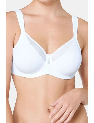 Soft model 229984 Triumph Soft model 229984 Triumph
