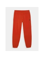 Pánské tepláky typu jogger 4F 4FWMM00TTROM1139-62S