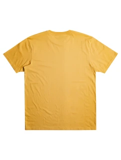 Pánské tričko Quiksilver Scholarship