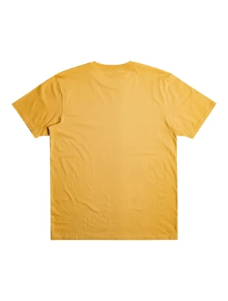 Pánské tričko Quiksilver Scholarship Pánské tričko Quiksilver Scholarship