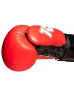 Boxerské rukavice TOP TEN "PRISM" 10 oz (RŮZNÉ BARVY) Boxerské rukavice TOP TEN "PRISM" 10 oz (RŮZNÉ BARVY)