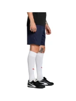 Pánské šortky Puma Team Goal navy blue 705752 06