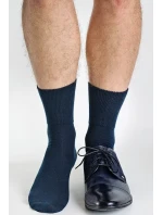 Pánské ponožky Regina Socks Purista Antybakteriální Froté Pánské ponožky Regina Socks Purista Antybakteriální Froté