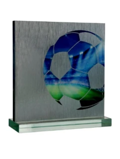 Skleněná trofej s pouzdrem