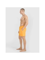 Pánské boardshortky 4F 4FWSS25UBDSM134-70S