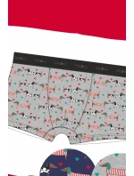 PÁNSKÉ BOXERKY VALENTINE PÁNSKÉ BOXERKY VALENTINE