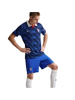 Pánské tréninkové šortky Nike France Dri-Fit Adv Elite modré IB4603 480
