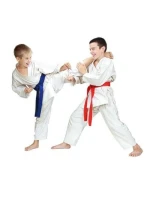 Dětské kimono pro karate + PAS Gratis - DBX BUSHIDO ARK-3102 120 cm