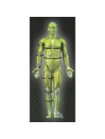 SELECT KNEE COMP. BAND 6251-W Amortec - DÁMY