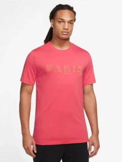 Pánské boty PSG Jordan M DV0634 648 - Nike