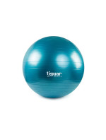 Gymnastický míč plus TI-SP0075M - Tiguar