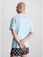Spodní prádlo Pánská trička S/S CREW NECK 000NM2399ECAV - Calvin Klein