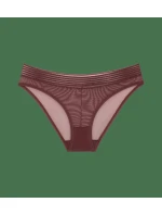 Tempting Sheer Highleg Tai 2P - BROWN - TRIUMPH BROWN - TRIUMPH
