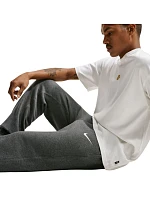 Pánské tmavě šedé kalhoty Nike Park 26 Fleece IB1248 071