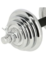 HMS STC21 2 x 10 kg činky v pouzdře chrom