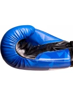 Boxerské rukavice TOP TEN "PRISM" 10 oz (RŮZNÉ BARVY) Boxerské rukavice TOP TEN "PRISM" 10 oz (RŮZNÉ BARVY)