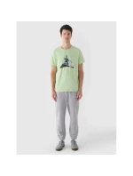 Pánské tričko s potiskem 4F 4FRAW24TTSHM2301-41S pánské