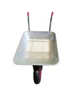 POZINKOVANÝ TRAKAŘ 80KG 60L